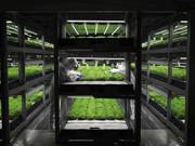 植物工場の写真