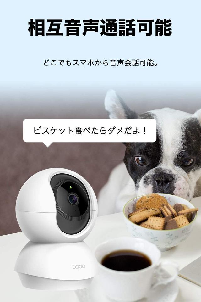 ペットや子どもの見守りに最適 スマホで簡単に操作できる多機能ネットワークカメラ Business Insider Japan ペットや子どもの見守りに最適 スマホで簡単に操作できる多機能ネットワークカメラ Business Insider Japan