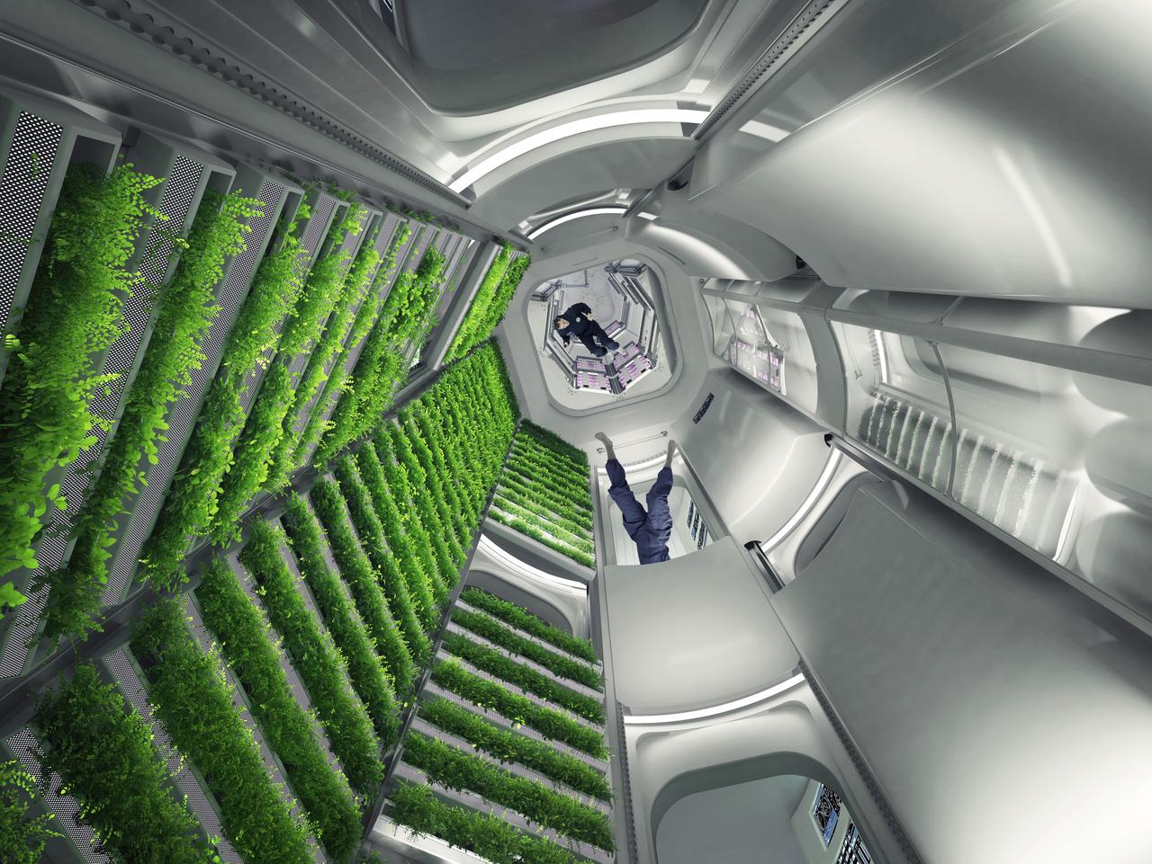 SierraSpaceAstroGarden