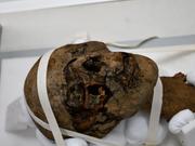 イギリス・ケント州にある住宅の屋根裏部屋で発見された2000年前の古代エジプト人のミイラの頭