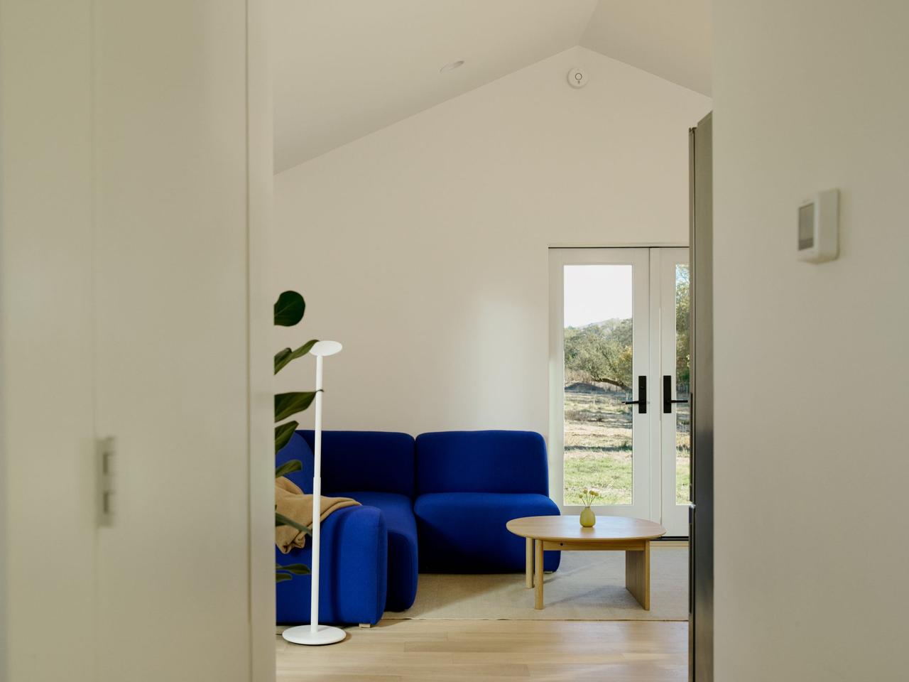 アオイソファを隣の部屋からのぞく