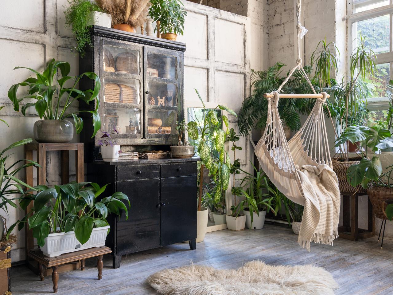 室内に取り込む植物は控えめに。