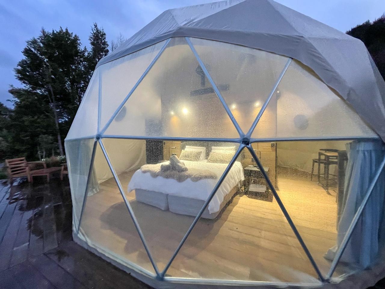 ドームの中の様子