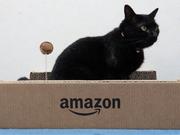 petzone爪磨き01