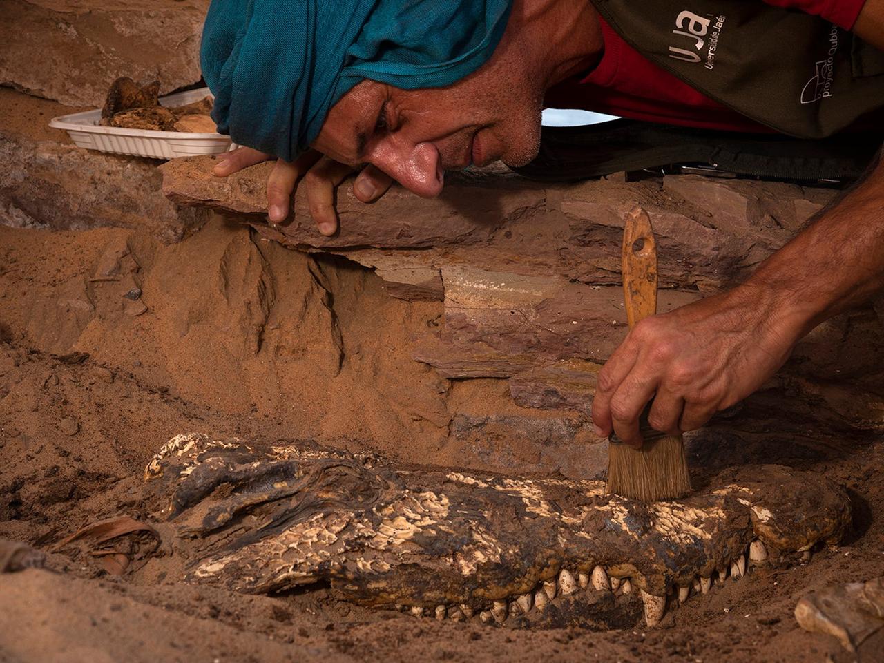 múmias de crocodilo