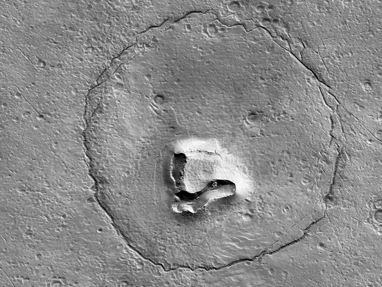 クマの顔に見える、NASAの火星探査機が撮った写真