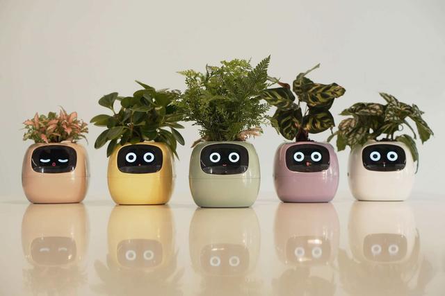 観葉植物の気持ちが分かる 水やりのタイミングを教えてくれるスマートプランターがかわいい Business Insider Japan