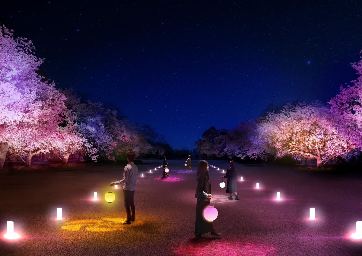 新宿御苑の70種類の夜桜にNAKEDがプロジェクションマッピング