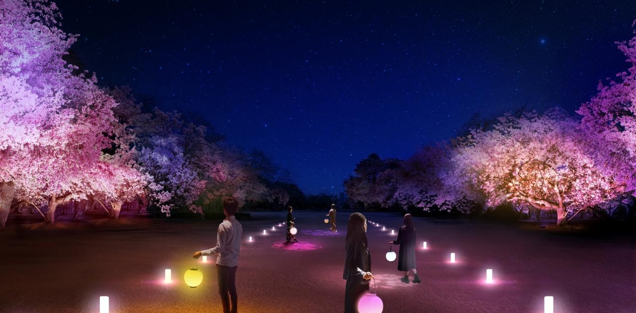 新宿御苑の70種類の夜桜にNAKEDがプロジェクションマッピング