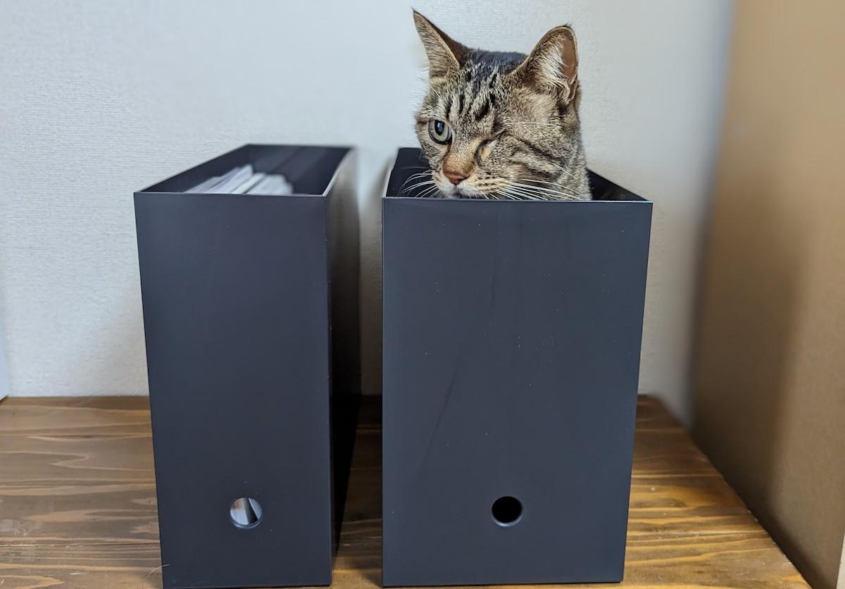 ねこしっぽ　13個 無印良品 ポリプロピレンファイルボックス ねこしっぽ様専用 13個 無印良品 ポリプロピレンファイル