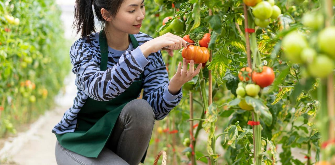 植物はストレスを受けると超音波を発する…一部の動物はこの「声」を聞き取っている | Business Insider Japan