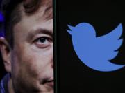 Elon Musk and the Twitter logo.