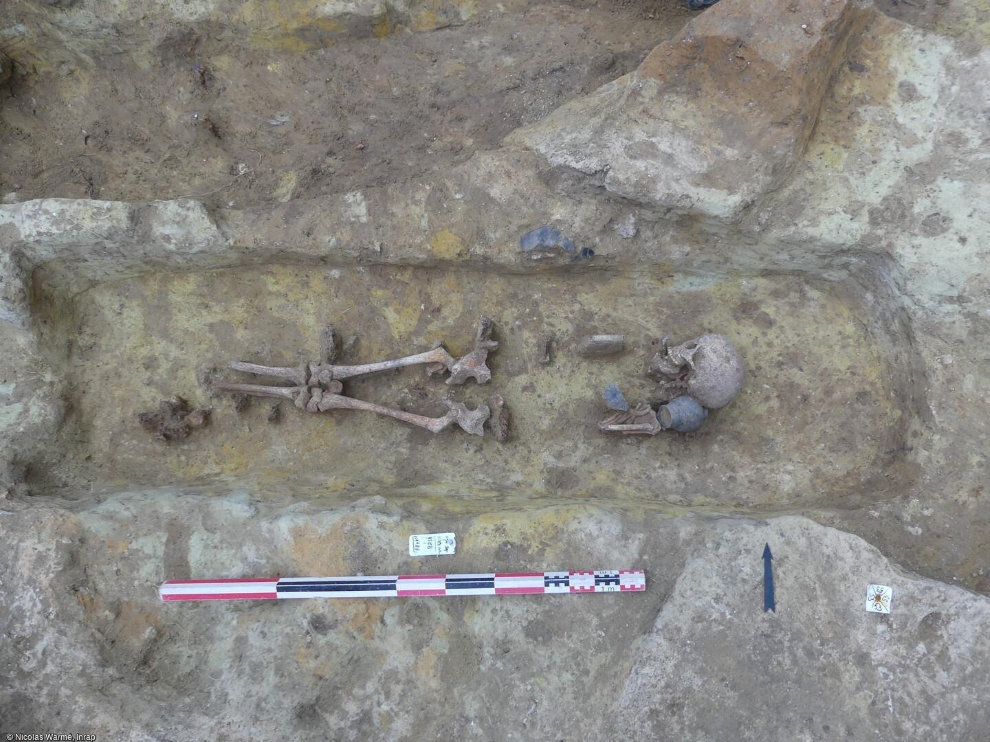 2000年前の遺体がコインやブタの副葬品とともに出土…ノートルダム大