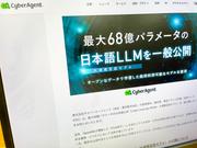 cyber_LLM_OpenCALM-4