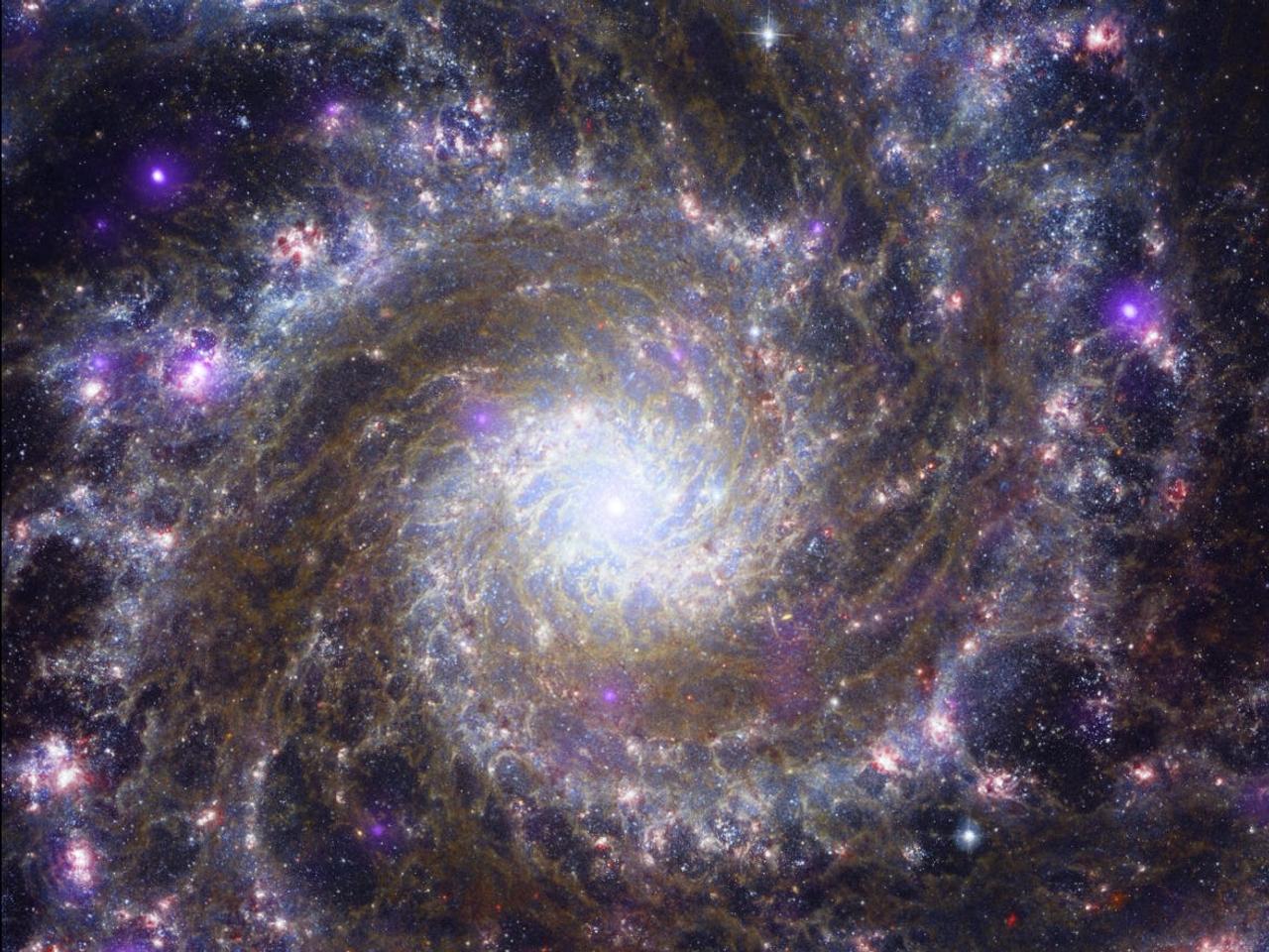 NASA、銀河や星団の最新画像を公開…3つの宇宙望遠鏡の画像を合成 | Business Insider Japan