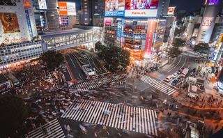 現代の作家たちが語る｢日本｣