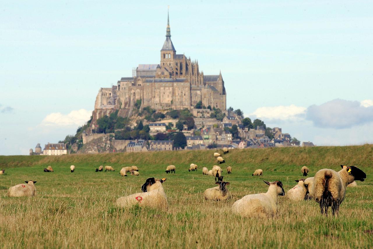 647e099ea52c4b001936a0d9