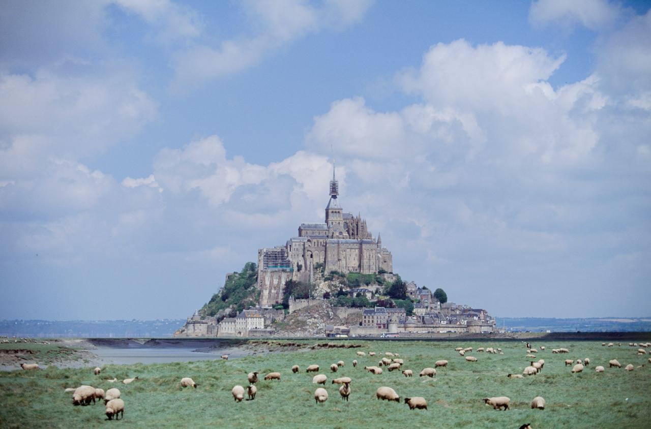 647e09aca52c4b001936a0ec