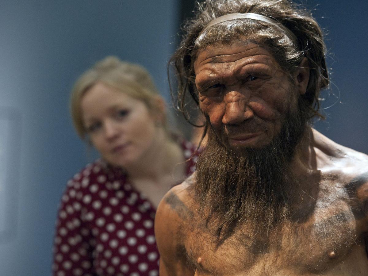 ネアンデルタール人は4万年前、我々人類に何をもたらしたのか 