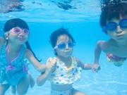 shutterstock_201263729