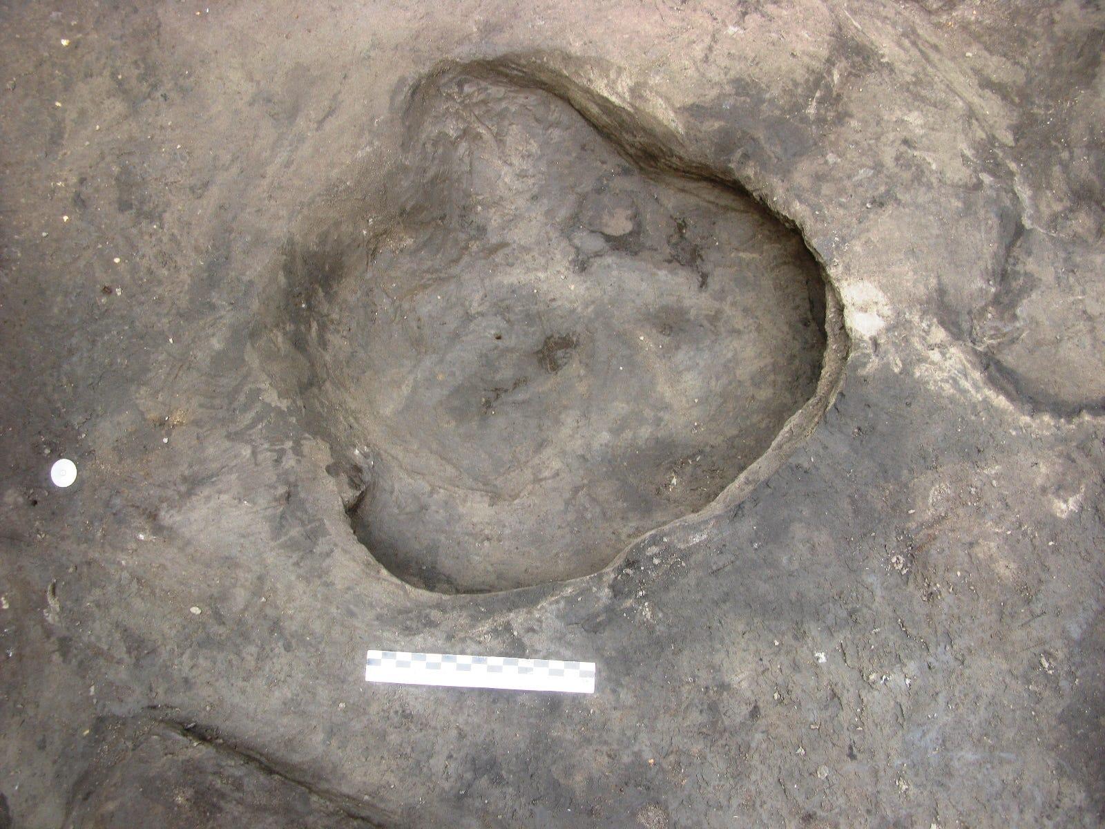 欧州最古、30万年前の人類の足跡化石を発見…サイやゾウの足跡化石も