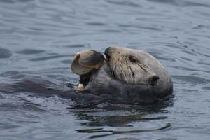 スクリーンショット2023-07-039.36.54
