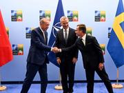 2023年7月11日、リトアニアで開催されるNATO首脳会議を前に会談に臨むトルコのエルドアン大統領（左）とスウェーデンのクリスターソン首相。