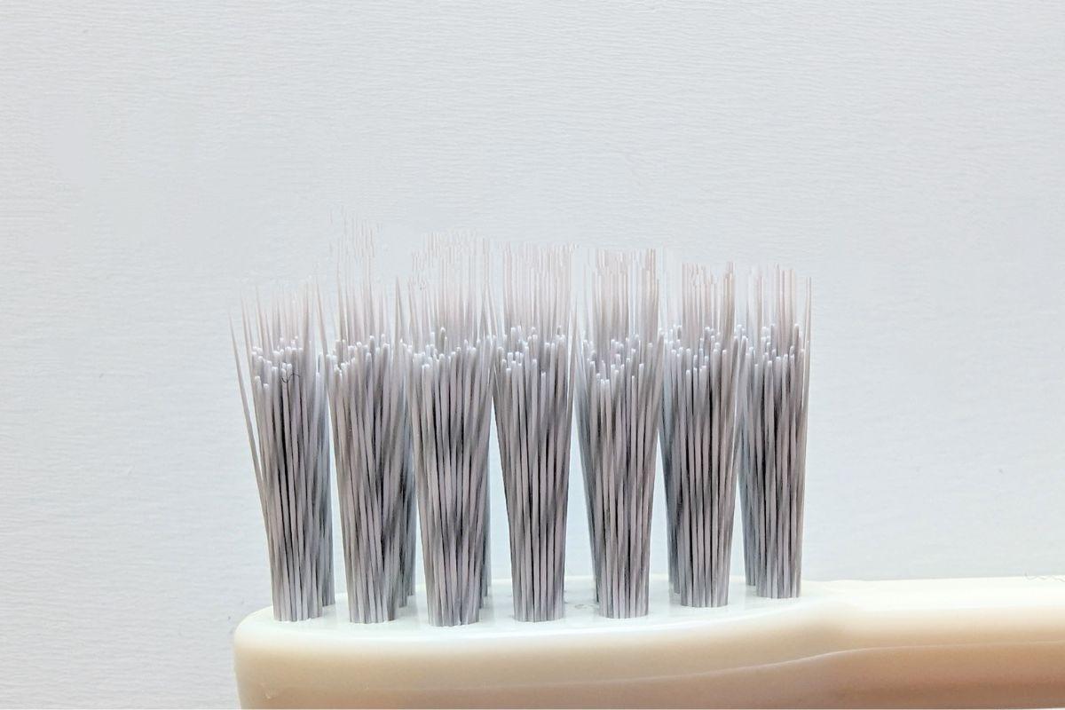 エコでも高くない。機能と価格が両立した「理想の歯ブラシ」を見つけた