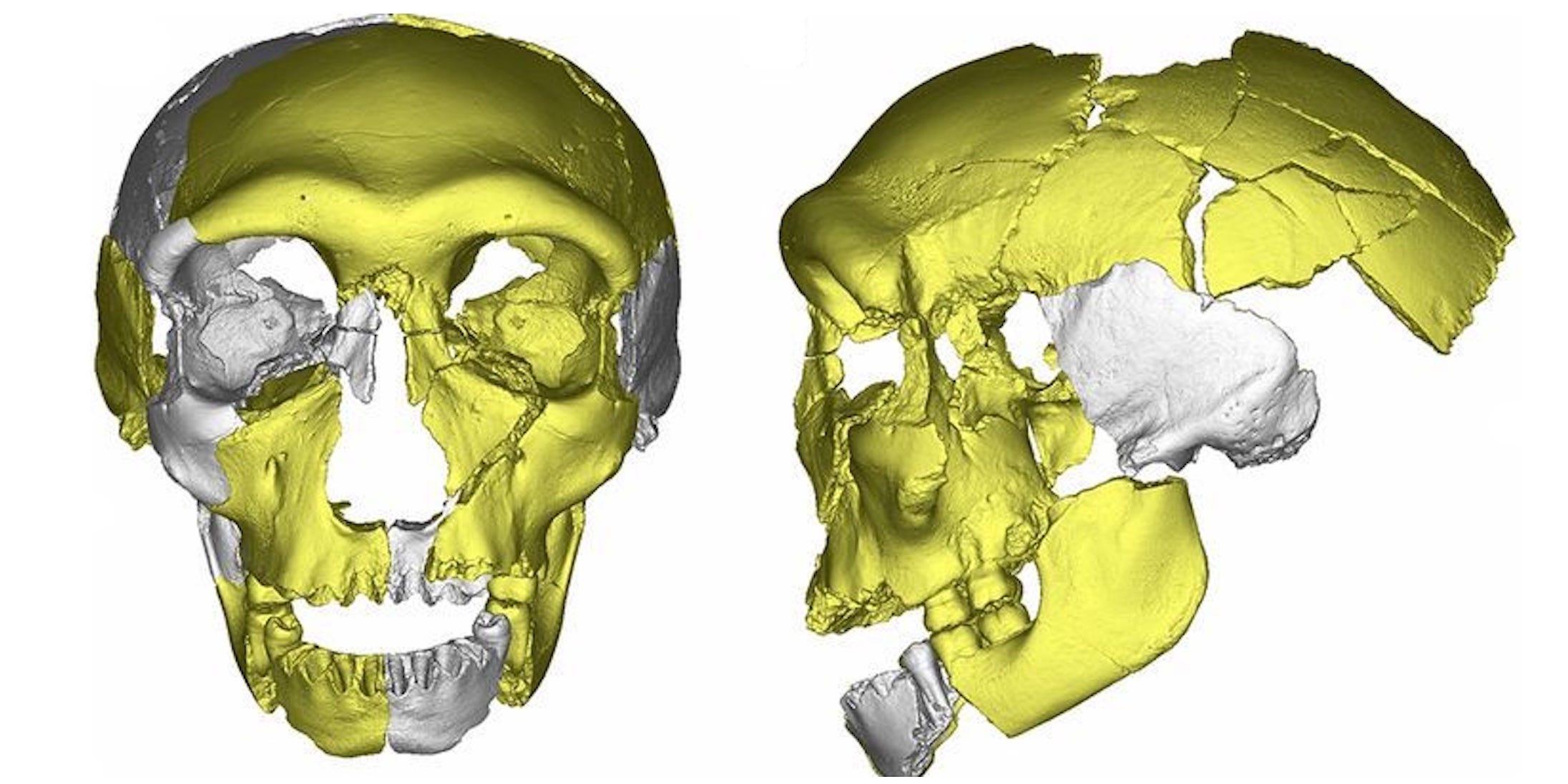 謎の頭蓋骨が科学者を困惑させている…新たな人類の祖先か？
