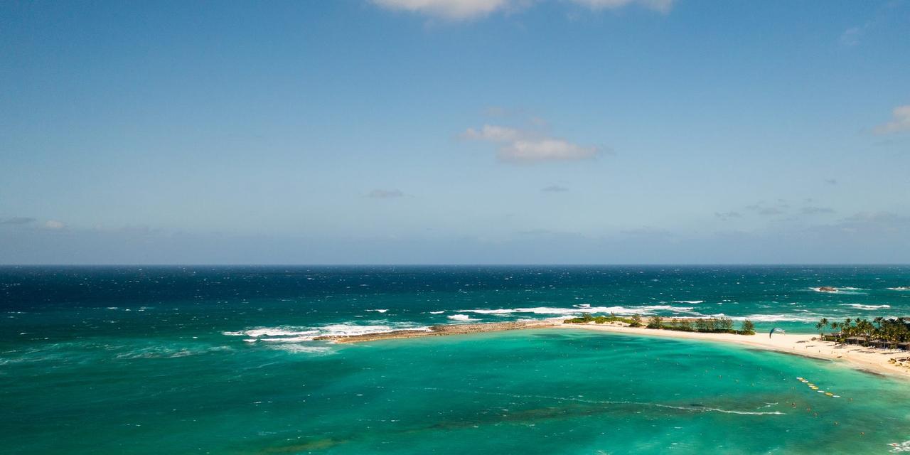 緑色がかっている、バハマにあるパラダイスアイランドのビーチ。
