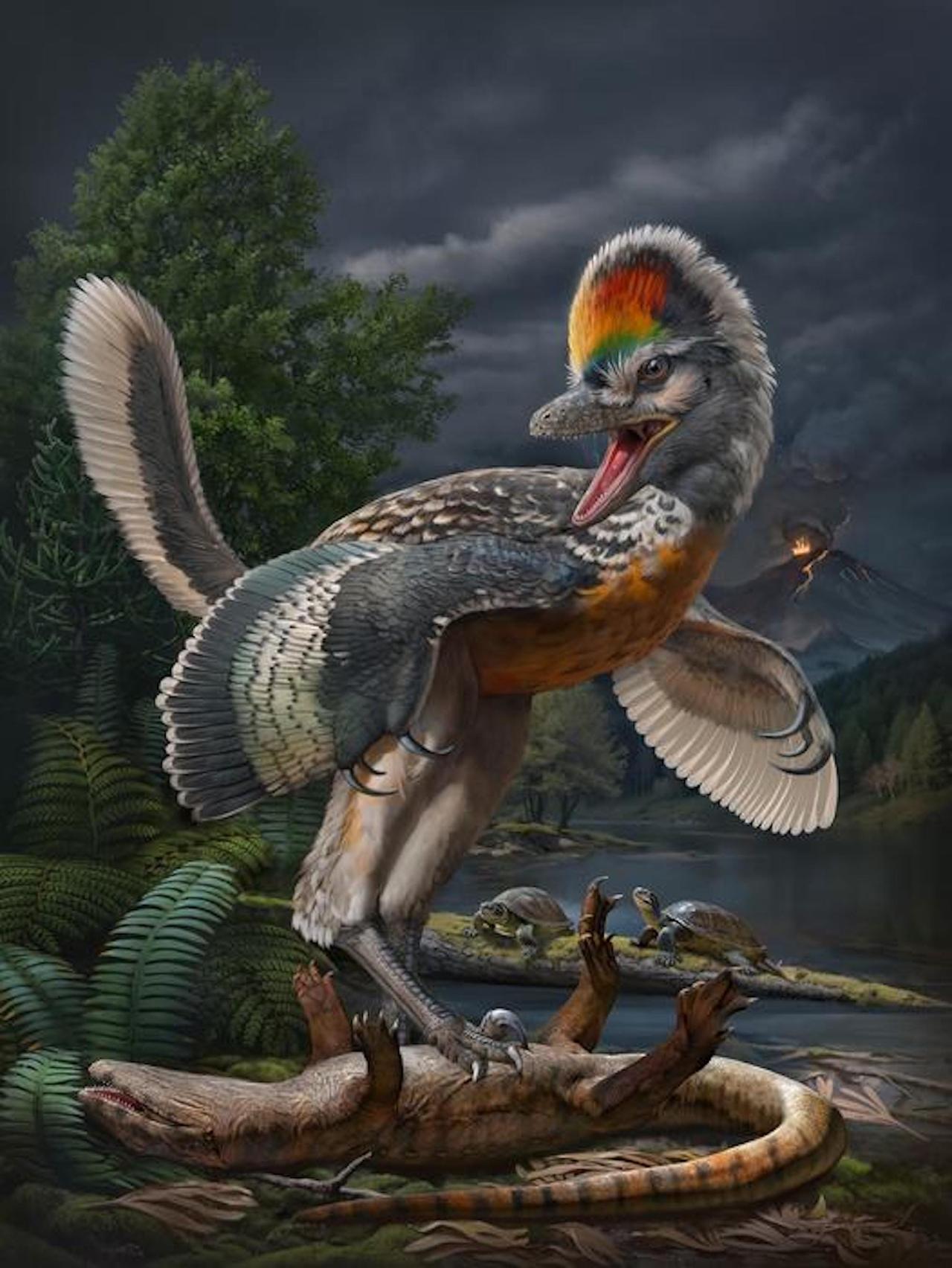 ｢フジアンヴェナトル・プロディジオサス｣の想像図。この恐竜の化石の発見により、これまで謎とされてきたジュラ紀前後における鳥類の進化の過程が明らかになるかもしれない。
