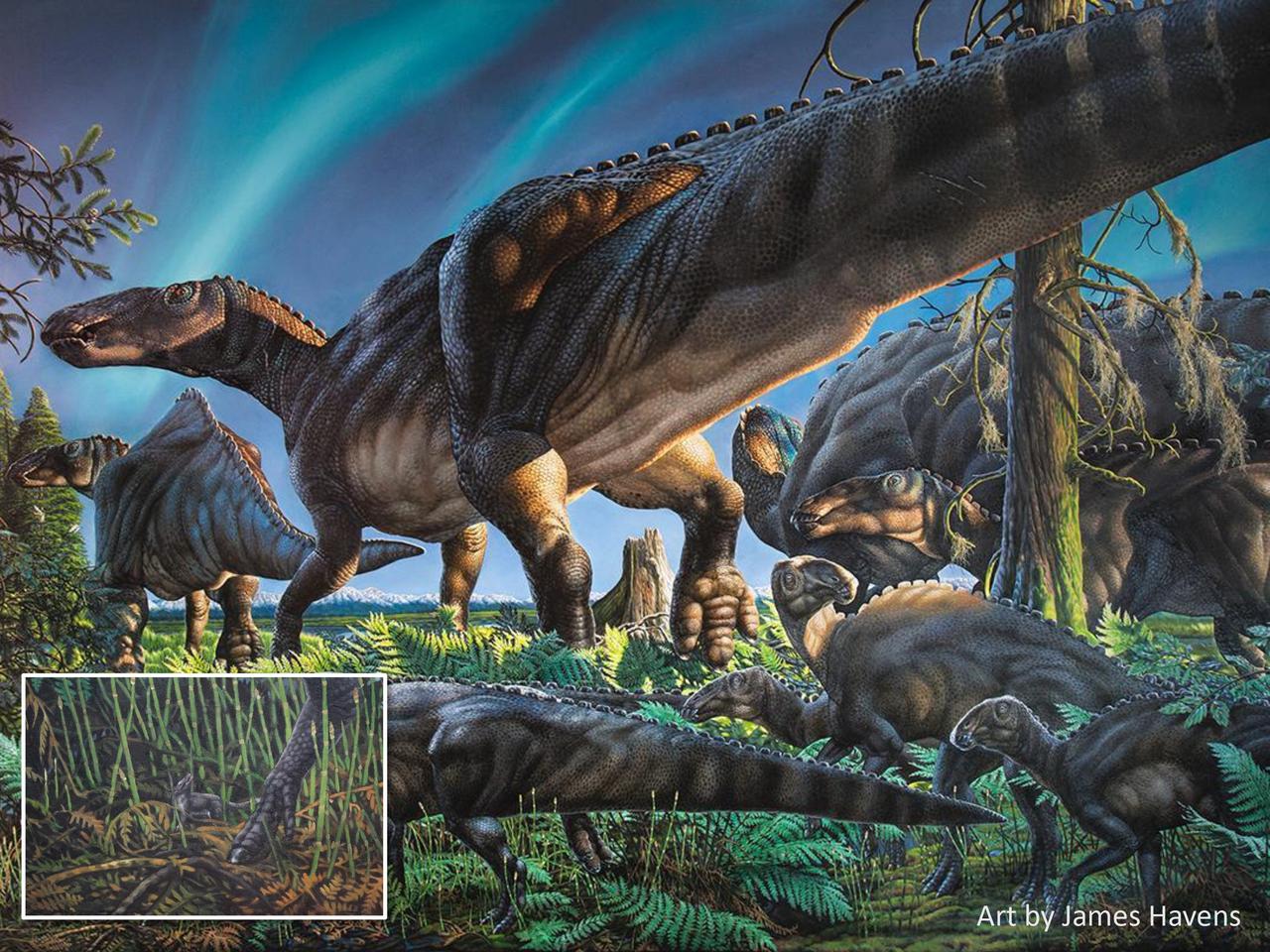 シクオミス・ミクロスが食べものを探すときには、自分よりもはるかに大きな恐竜をうまくかわさなければならなかっただろう。