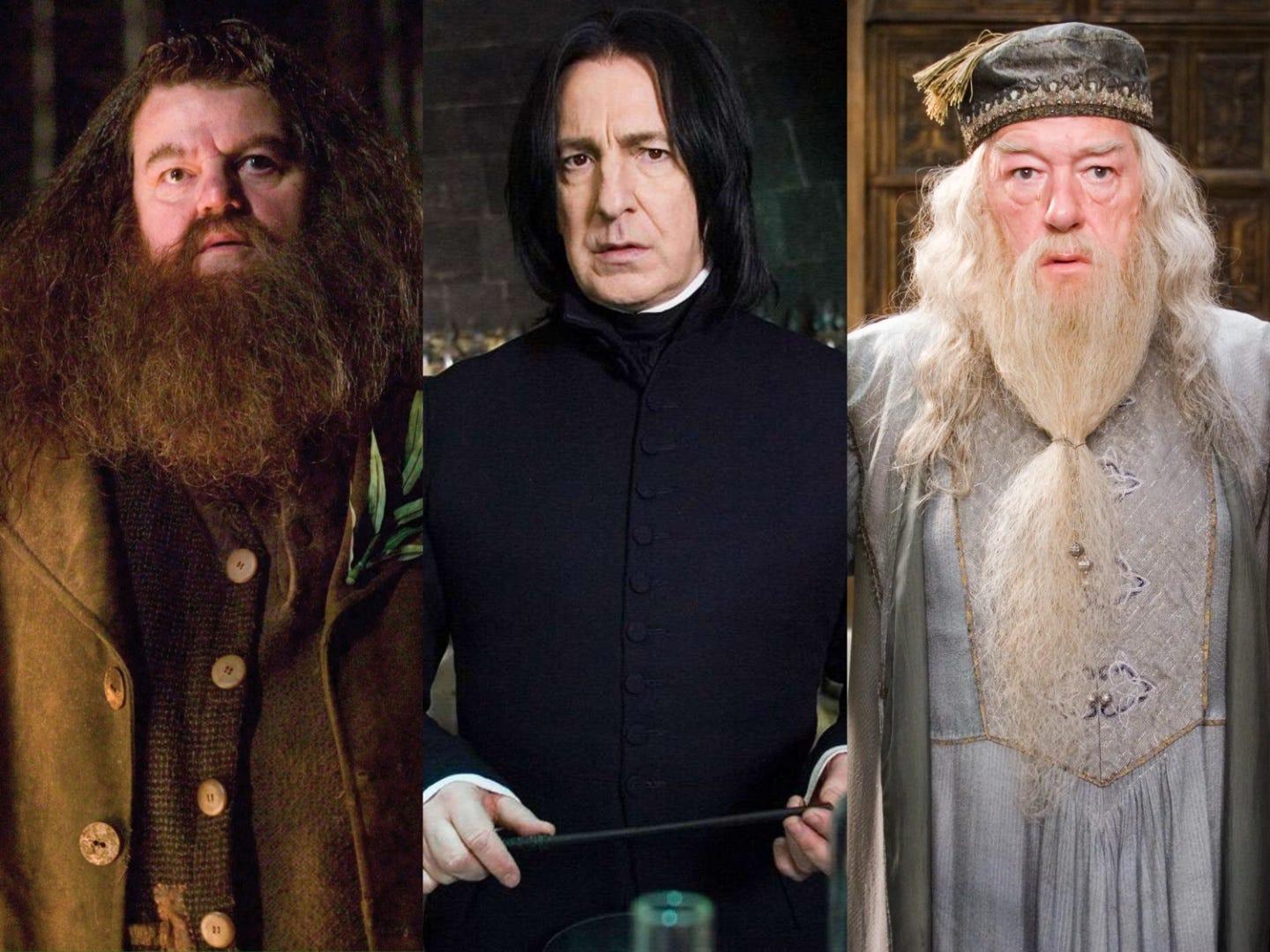 ダンブルドア画像 アルバス・ダンブルドア Harry Potter Wiki Fandom