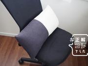 muji_cuchon.001