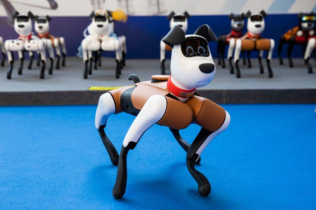 ついに誕生、人類を滅亡させそうにないロボット犬