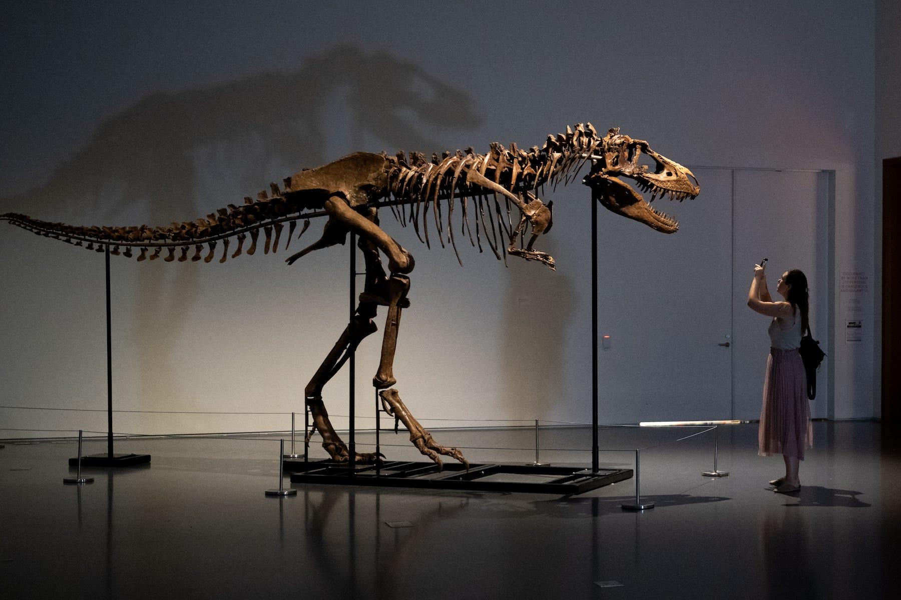 ティラノサウルス類が食物連鎖の頂点に立った理由