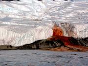 南極大陸のテイラー氷河の末端からボニー湖にしみ出す｢血の滝｣。2006年11月26日撮影。