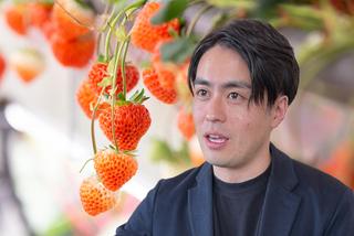 oishii farm Strawberry KOGA DAIKI