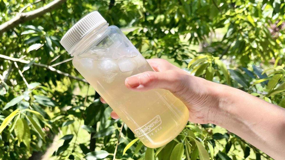 毎年夏になると冷蔵庫に常備するコレ。家にあるもので1分で作れます