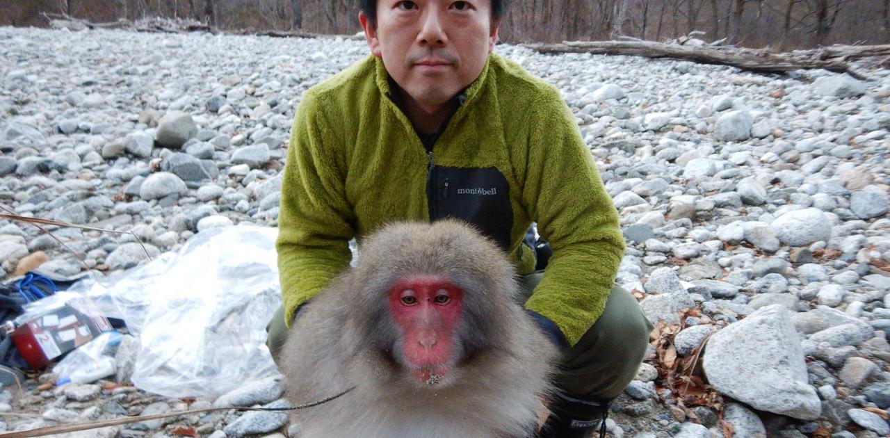 ニホンザル、イノシシ、クマ……｢害獣｣と呼ばれる哺乳類は、生態系に何をもたらしているのか | Business Insider Japan