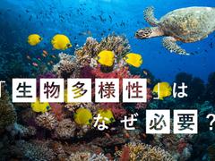 Amazon.co.jp: 生物多様性保全の経済学 : 大沼 あゆみ: 本