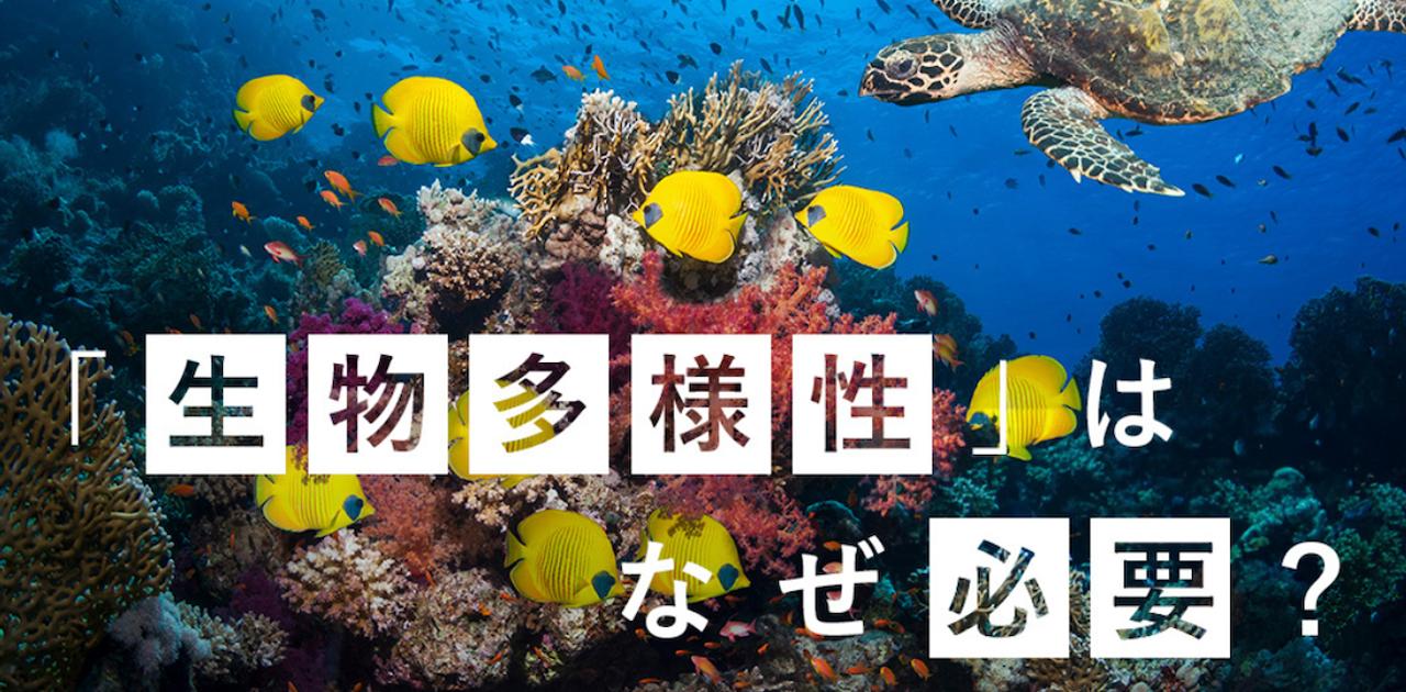 世界のインフルエンサーも発信｢気候変動と生物多様性の喪失は、人類共通の危機だ｣ | Business Insider Japan