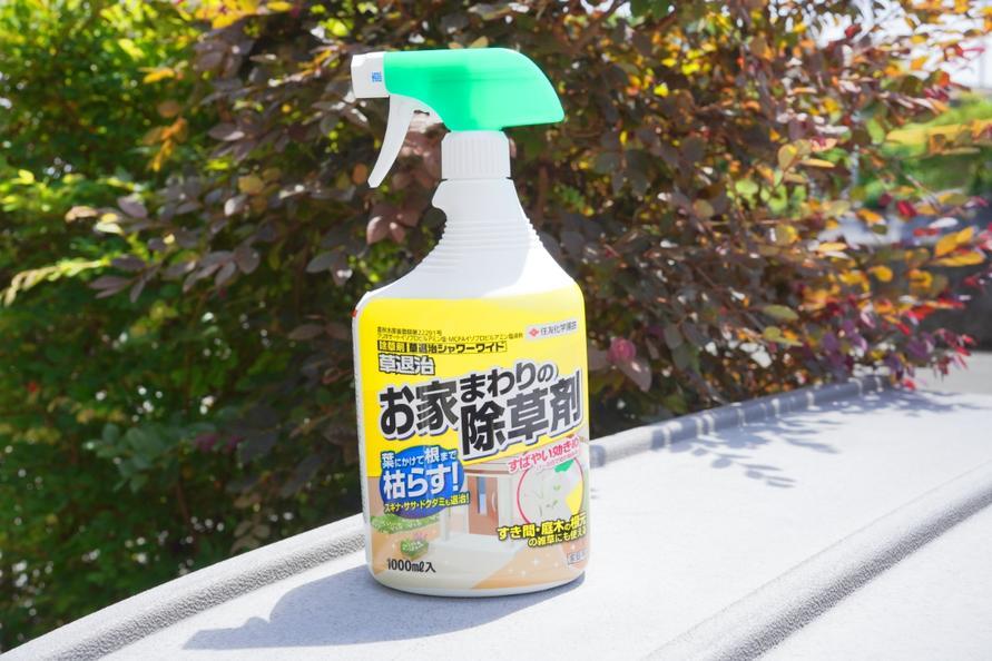 庭の芝生をすべてコンクリにしようと思うほど悩んだ「雑草」。コレを