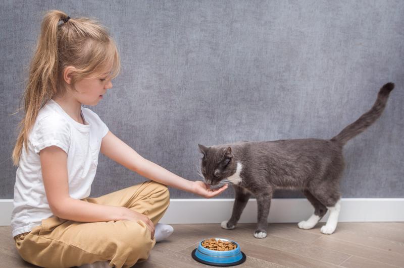 最新研究によると、ネコと子どもは最良のルームメイトではないかもしれない。