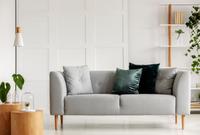 shutterstock_2320011603