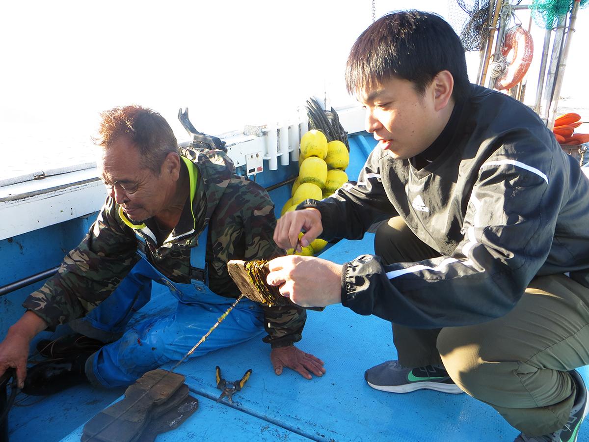 ☆新米☆早い者勝ち!福岡糸島産 itoshimaBlueCarbon_05.jpg?w=1200