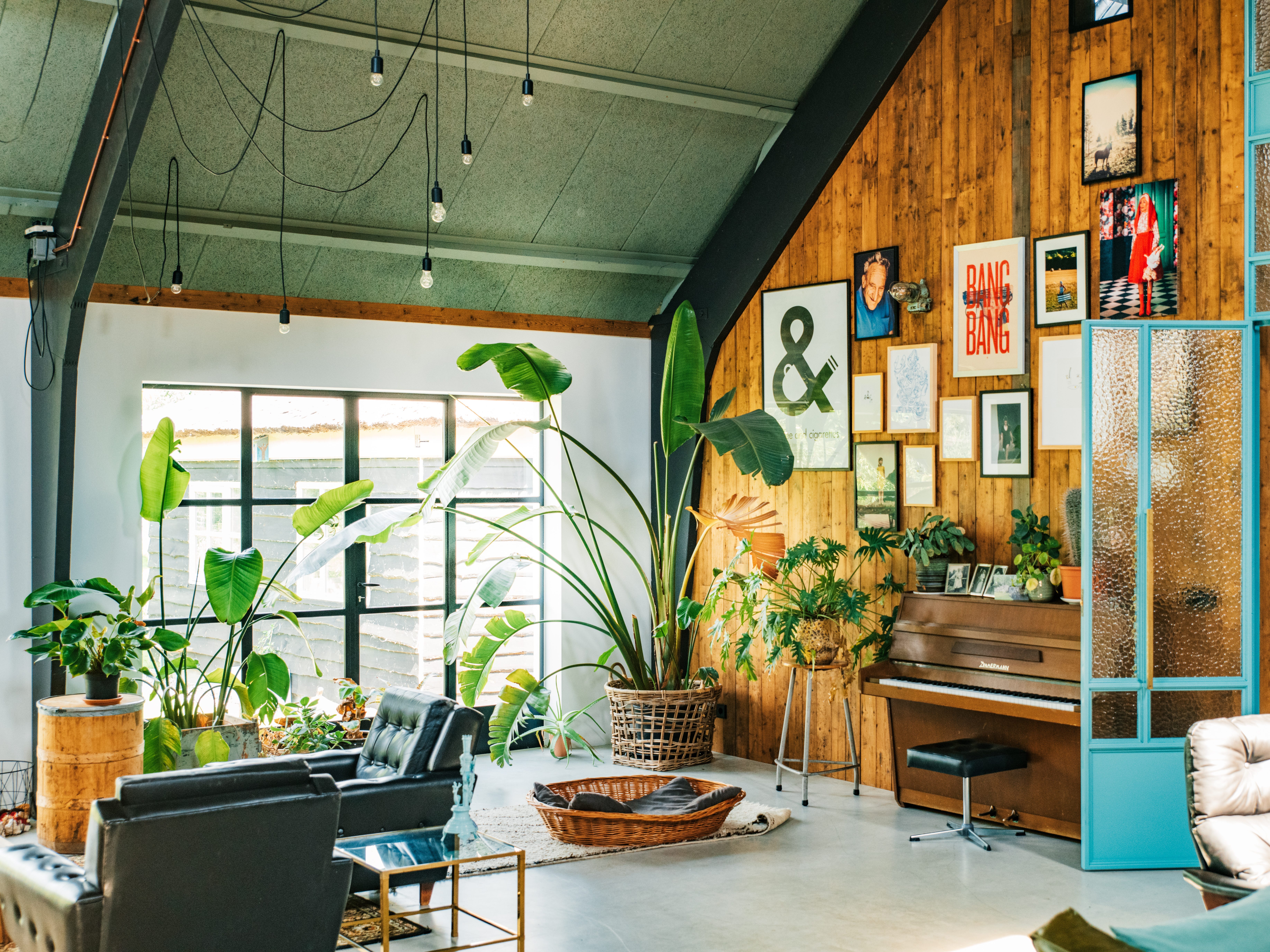 66fea6377de5c8fd4834f4ec.jpg?w