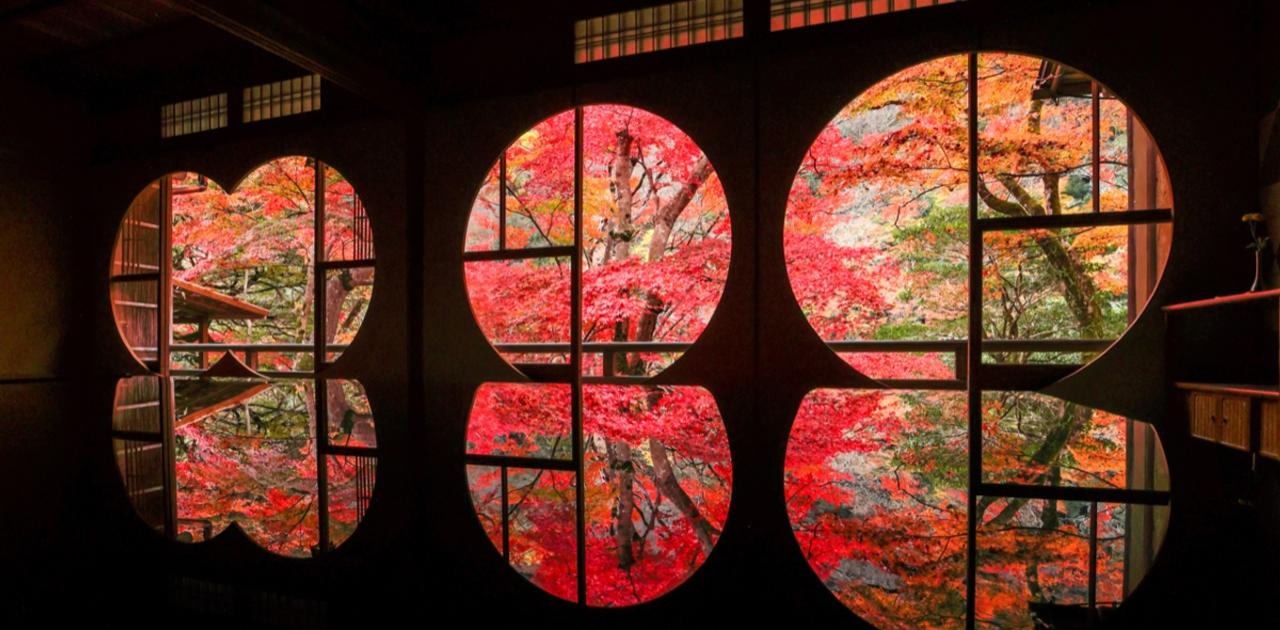 一度は行ってみたい｢絵画みたいな紅葉名所｣ランキング。穴場の絶景スポットは？