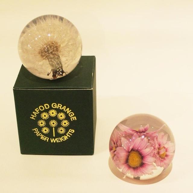 生花は困ることも ギフト上手が 花束のかわりに贈るもの Mashing Up 生花は困ることも ギフト上手が 花束のかわりに贈るもの Mashing Up
