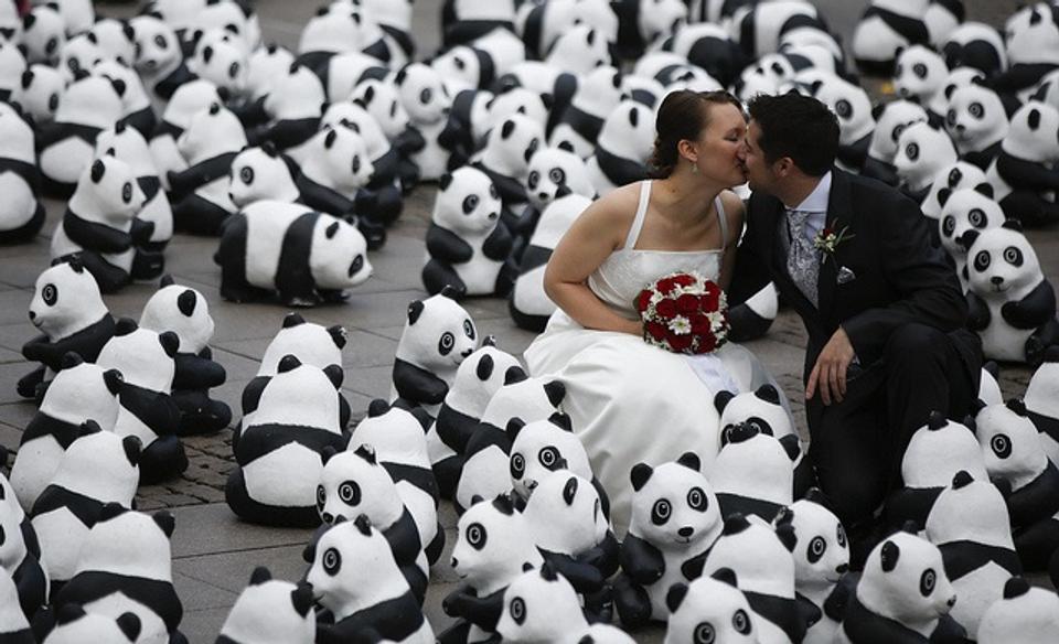 20140512_1600panda_4_Hamburg.jpg